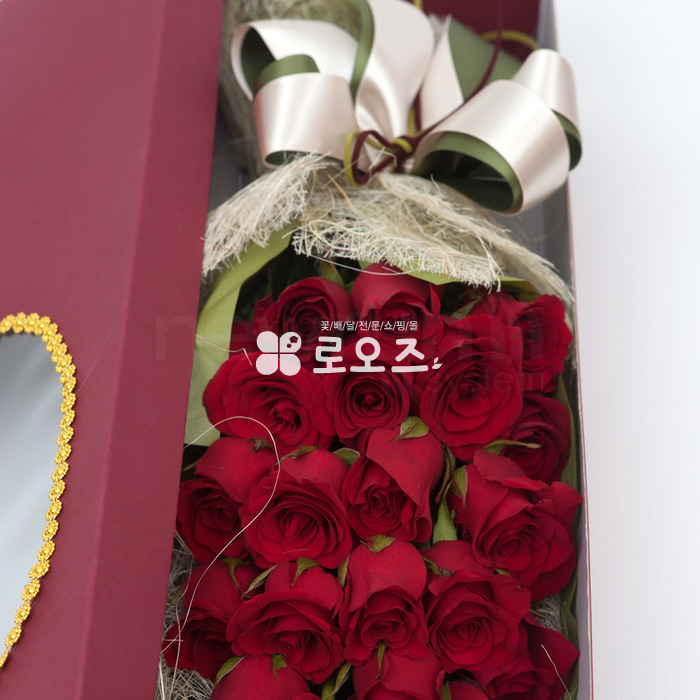 상세이미지