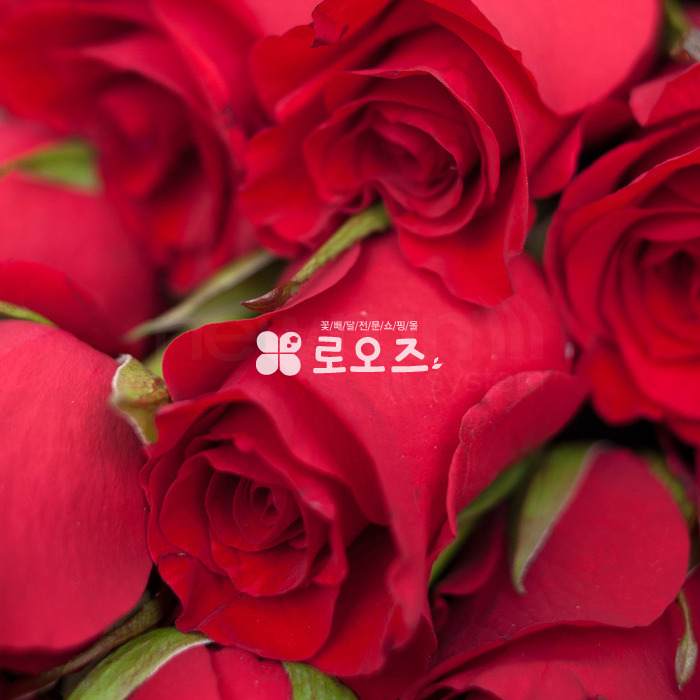 상세이미지
