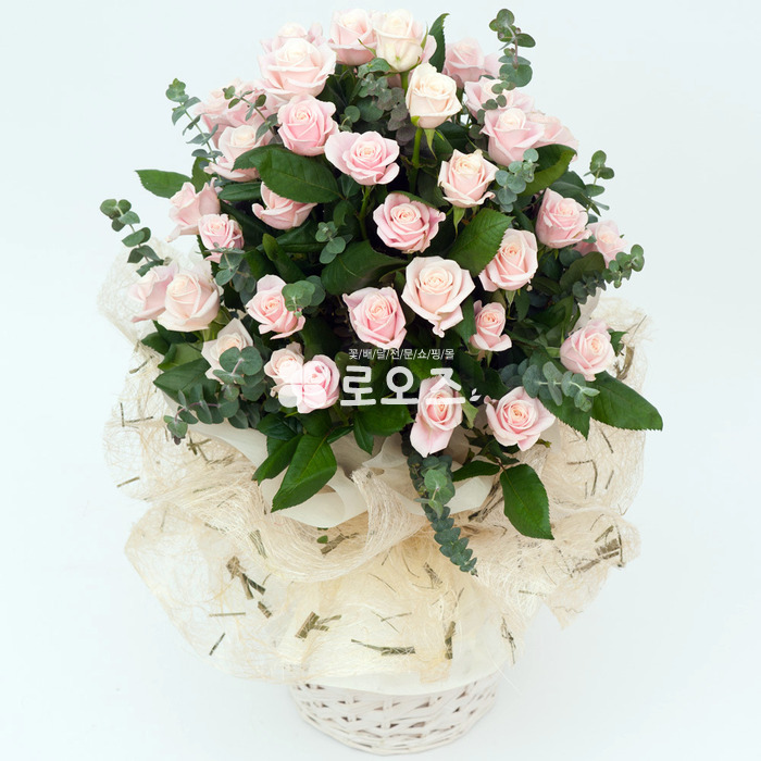 상세이미지