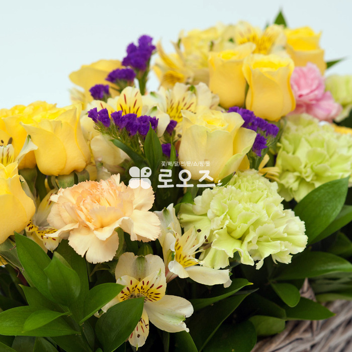 상세이미지
