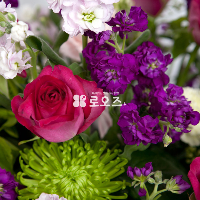 상세이미지