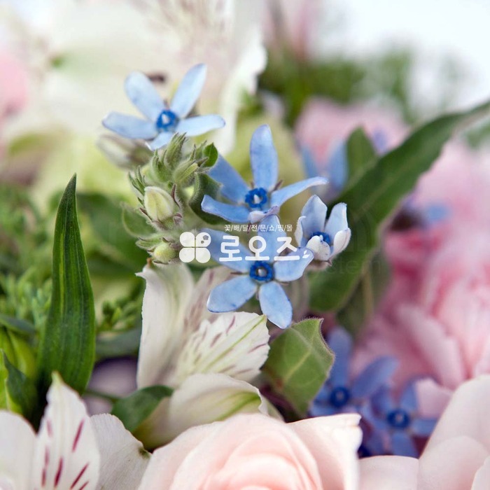 상세이미지