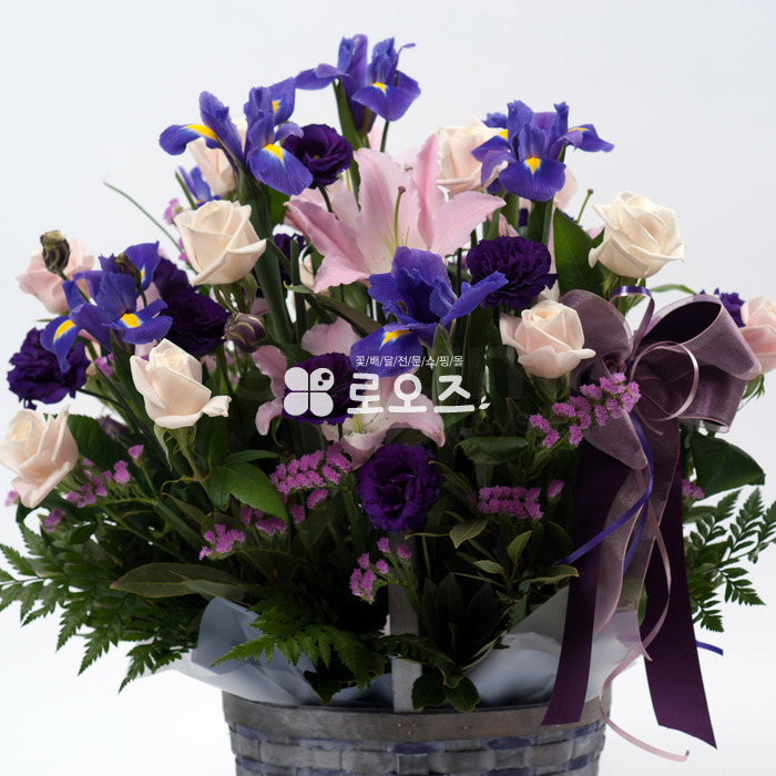 상세이미지
