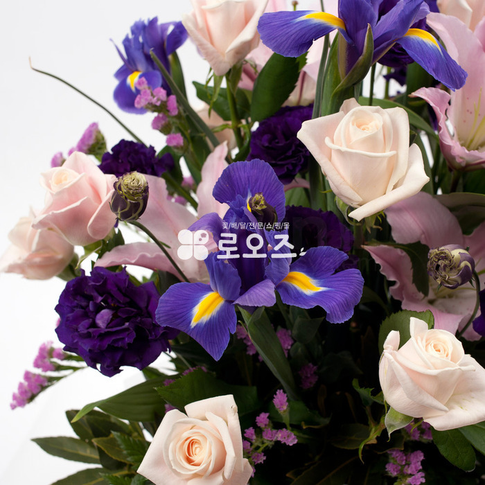 상세이미지