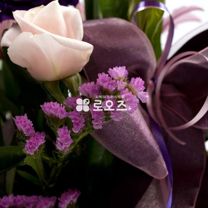 상세이미지