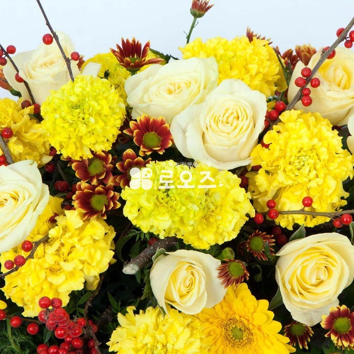 상세이미지