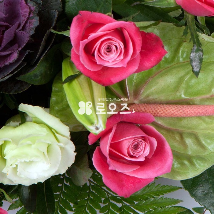 상세이미지