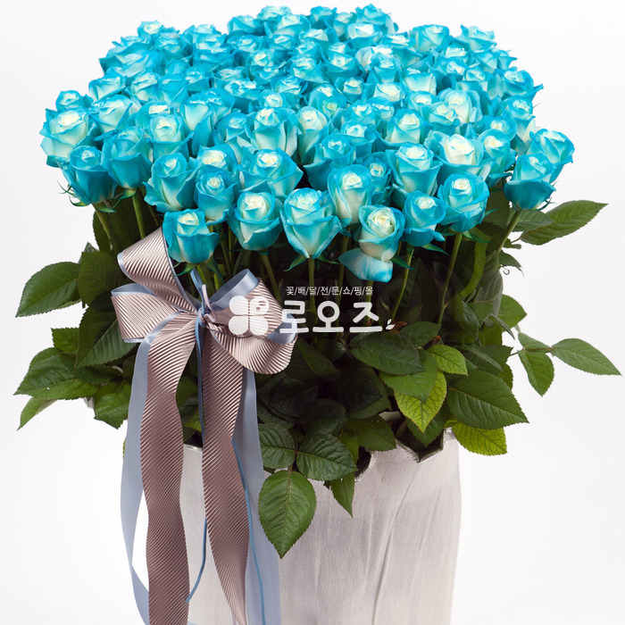 상세이미지
