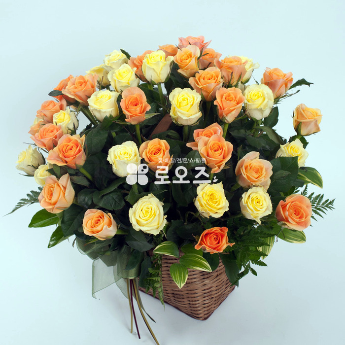 상세이미지