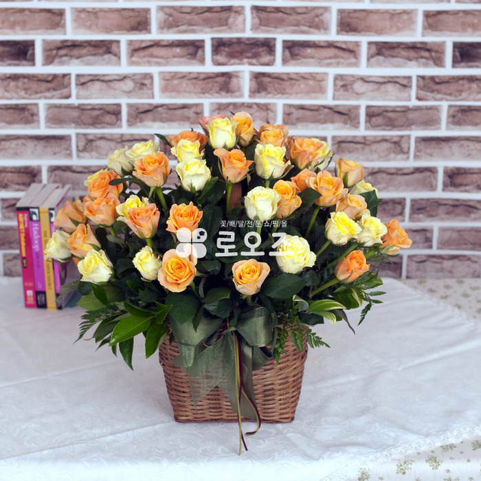 상세이미지