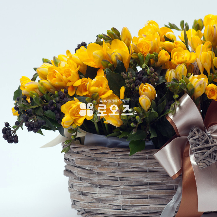 상세이미지