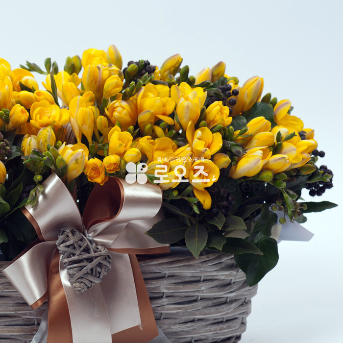 상세이미지