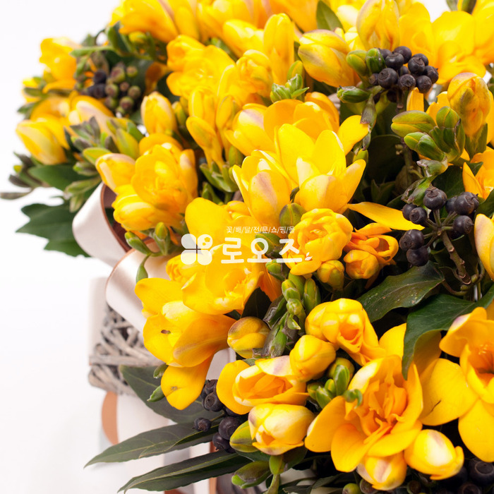 상세이미지