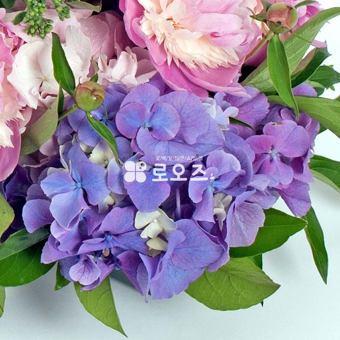 상세이미지