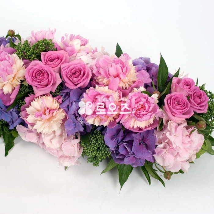 상세이미지