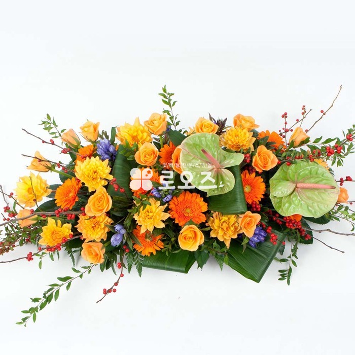 상세이미지