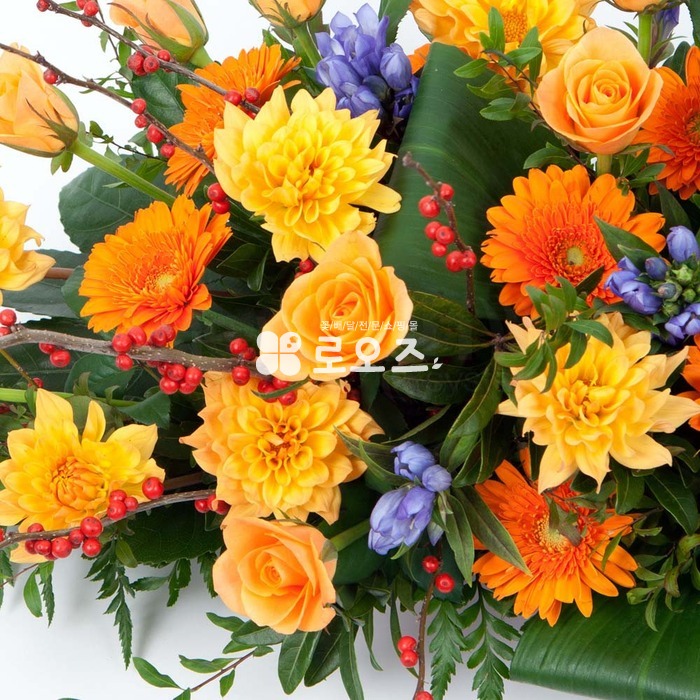 상세이미지