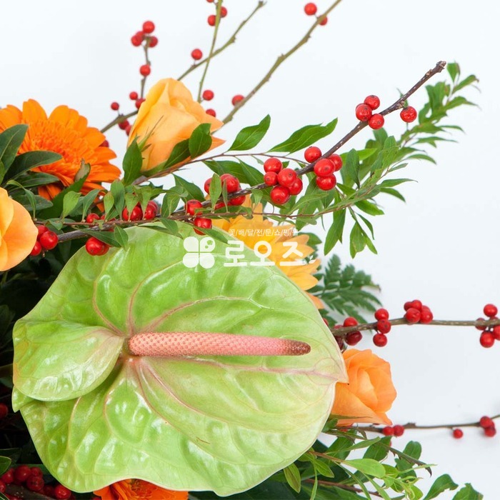 상세이미지