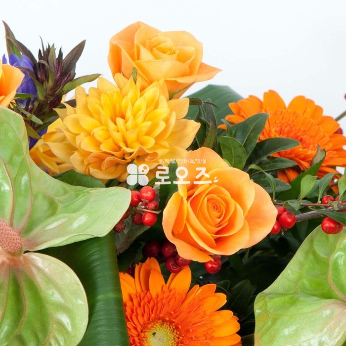 상세이미지