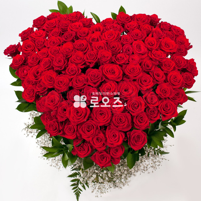 상세이미지