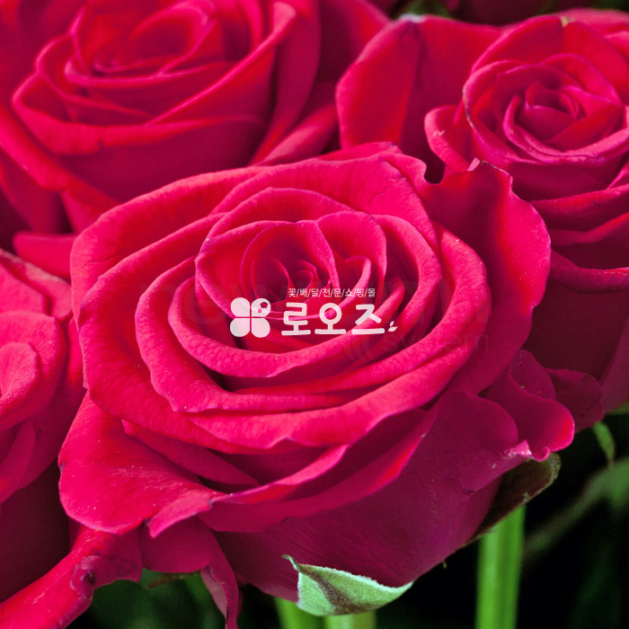 상세이미지