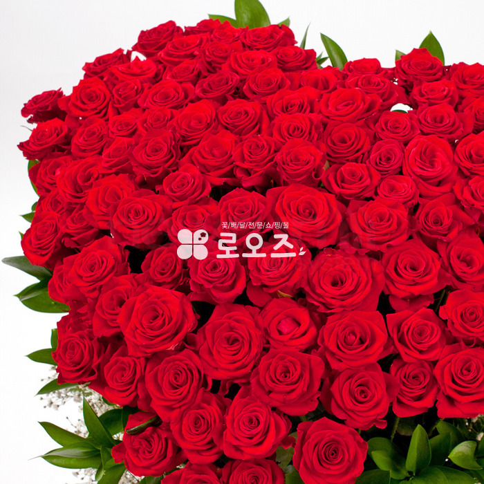 상세이미지