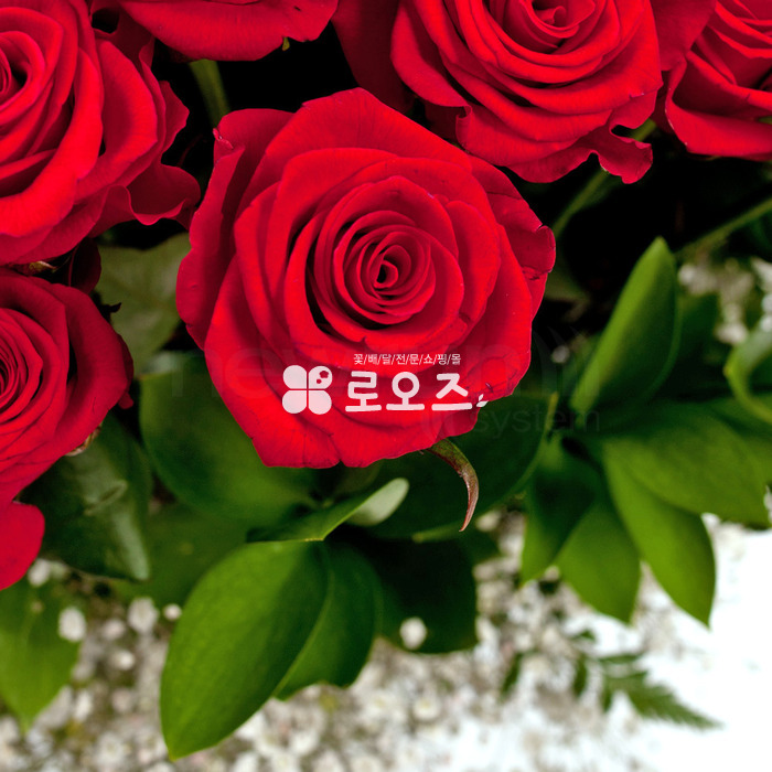 상세이미지