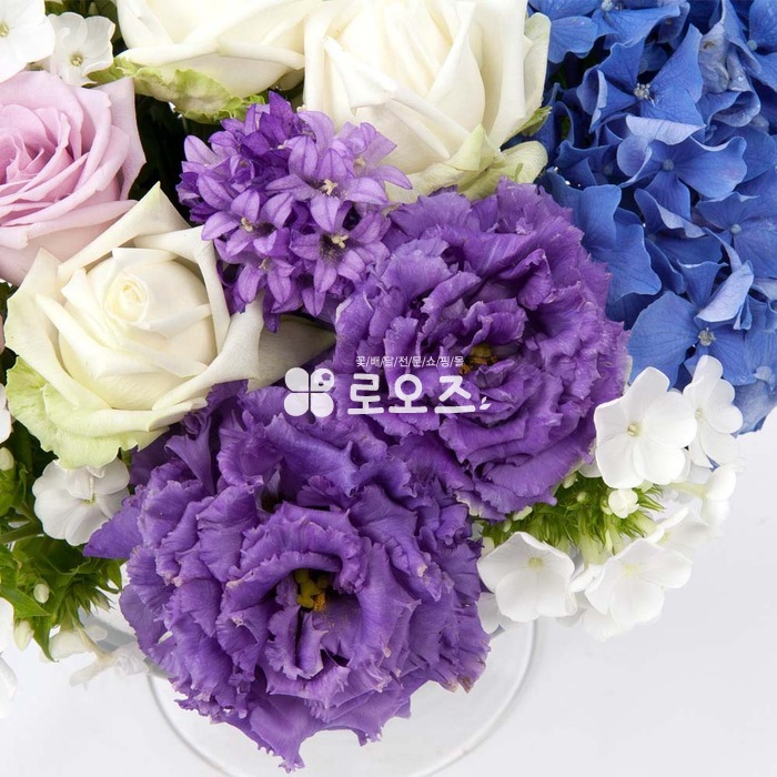 상세이미지