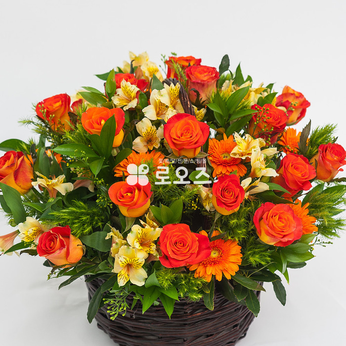 상세이미지