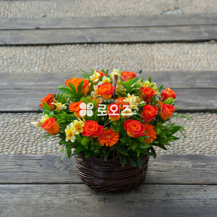 상세이미지