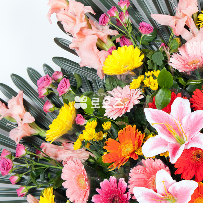 상세이미지