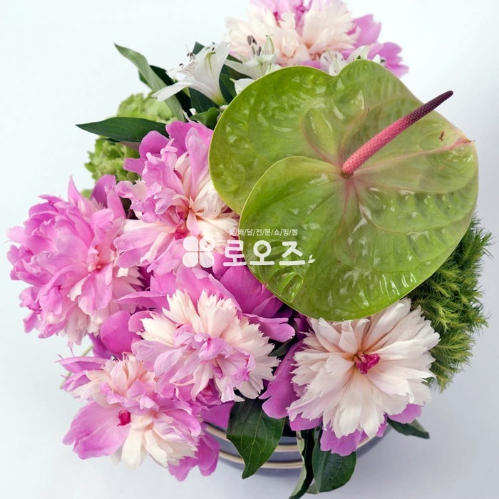 상세이미지