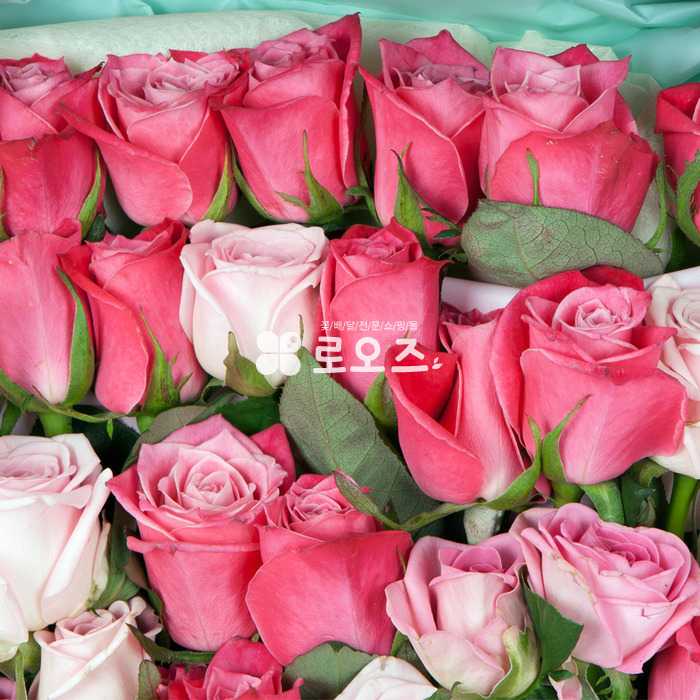 상세이미지