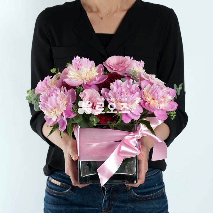 상세이미지
