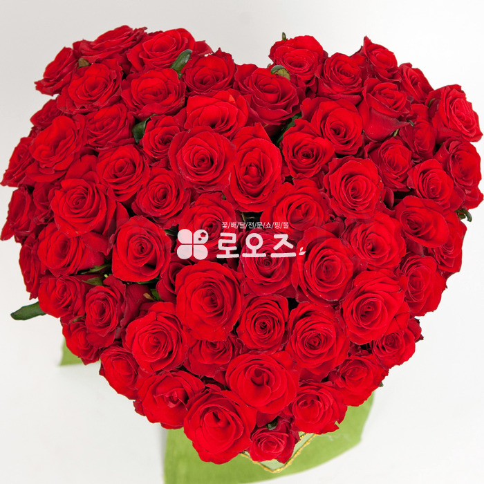 상세이미지