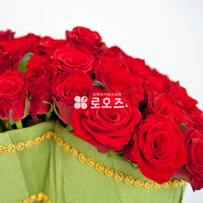 상세이미지