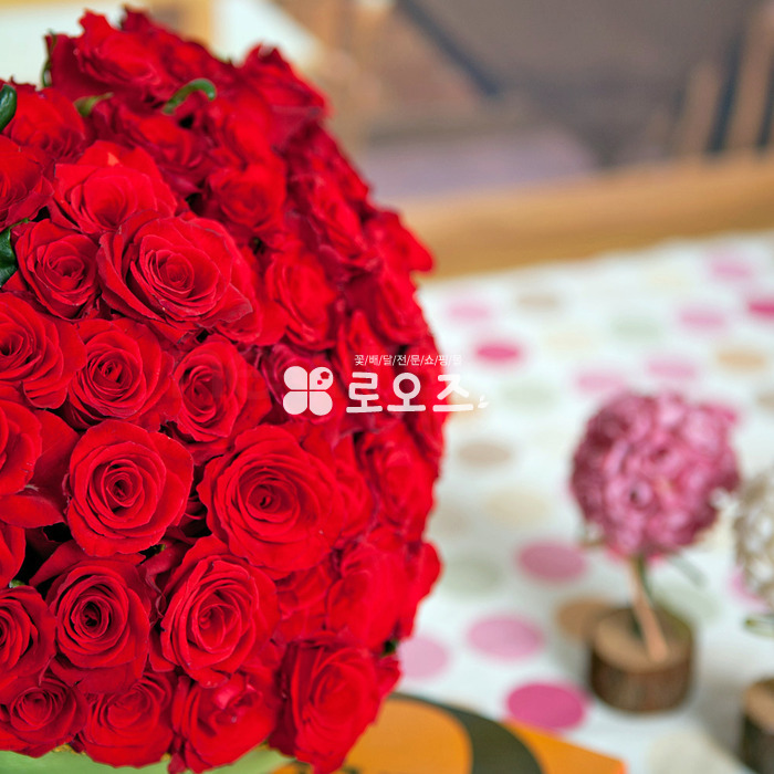 상세이미지