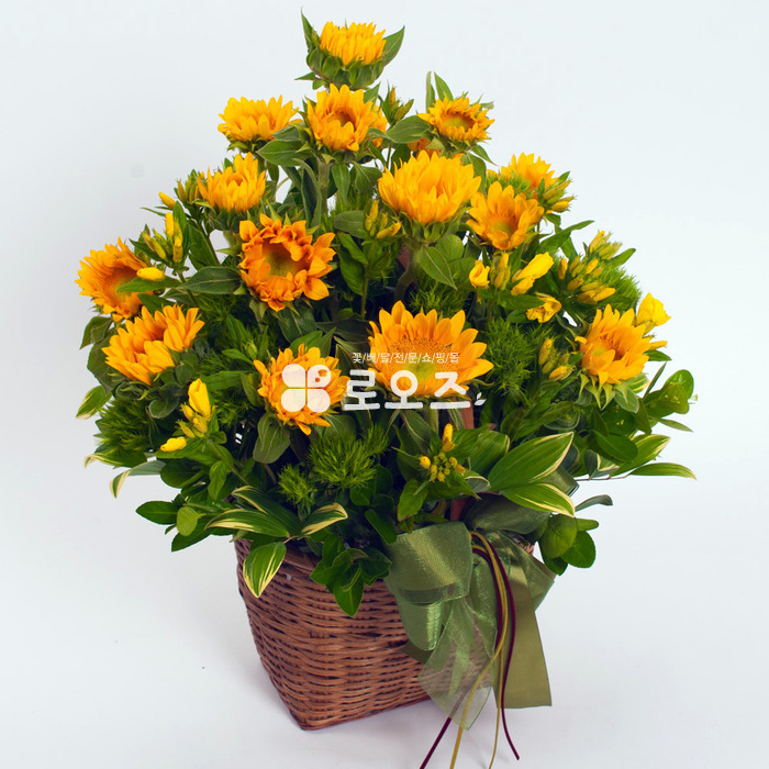 상세이미지