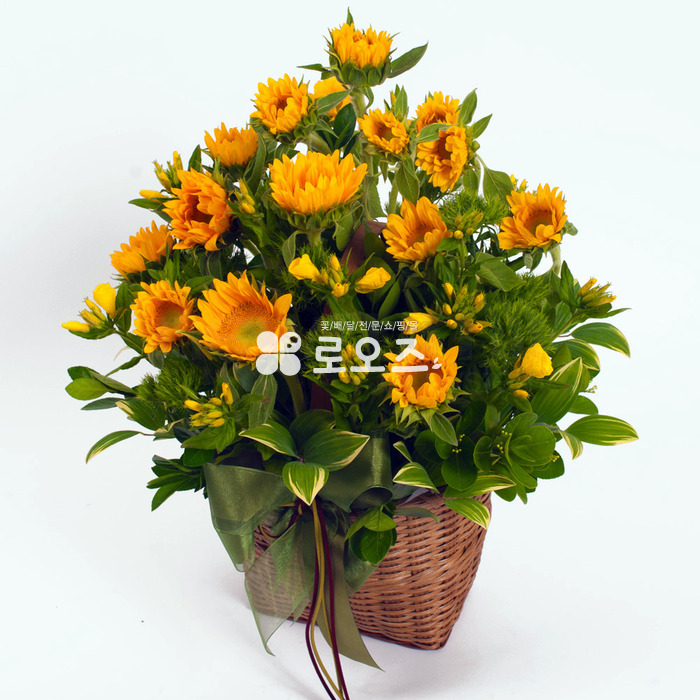 상세이미지