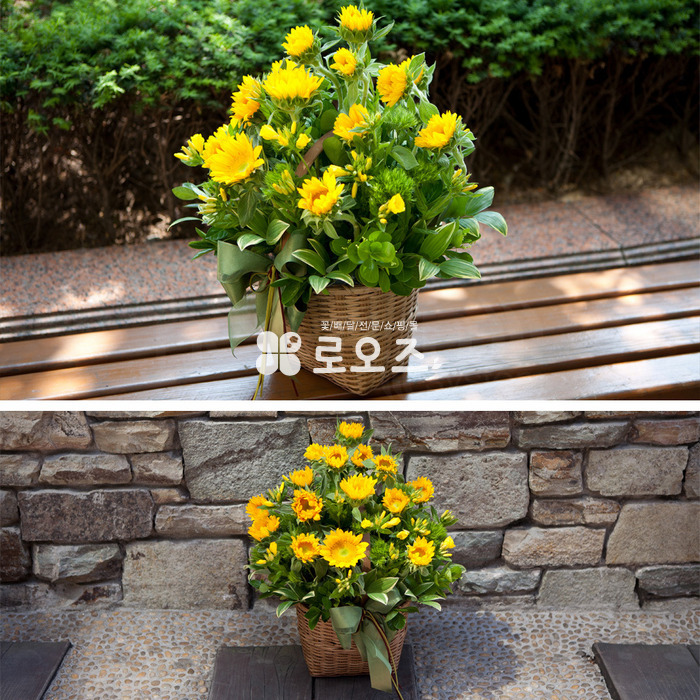 상세이미지