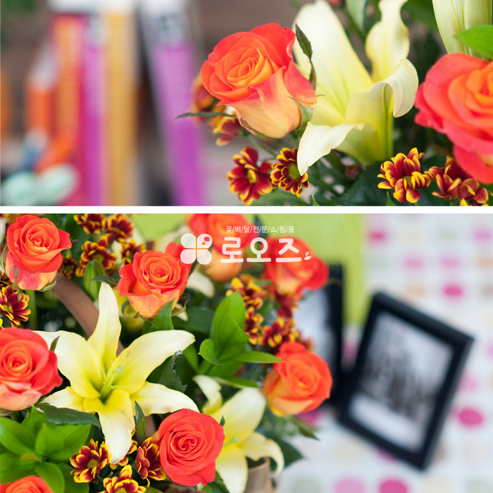 상세이미지