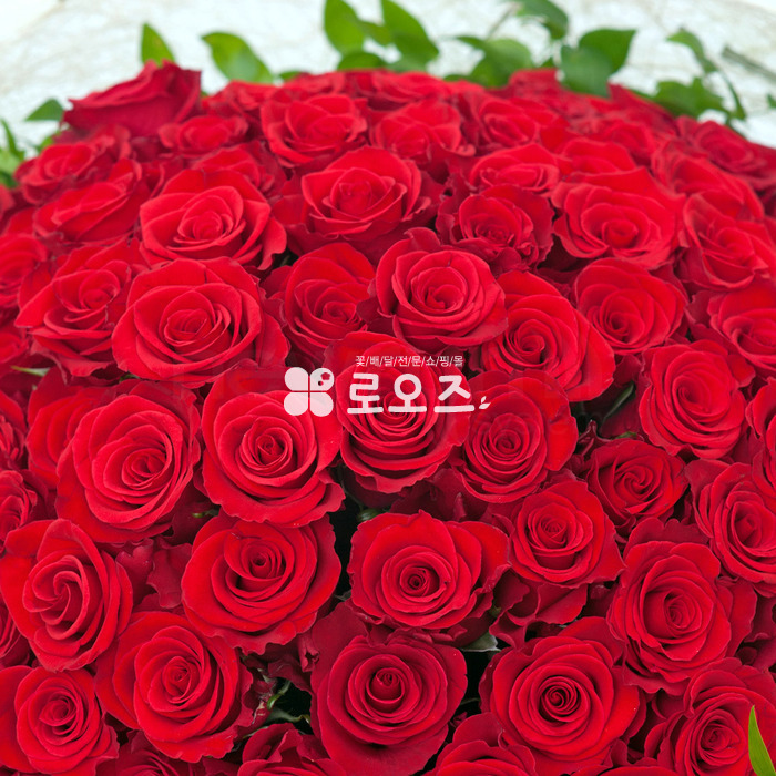 상세이미지