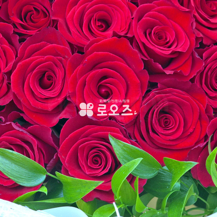 상세이미지