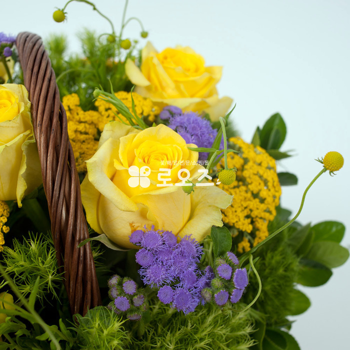 상세이미지