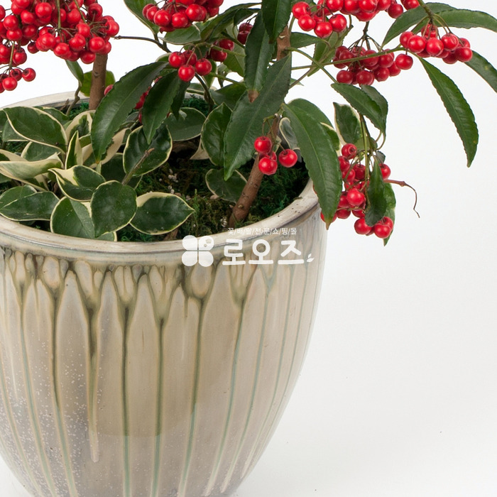 상세이미지