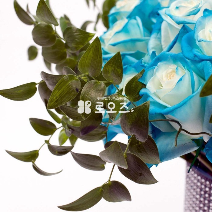 상세이미지
