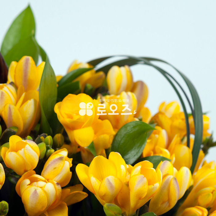 상세이미지
