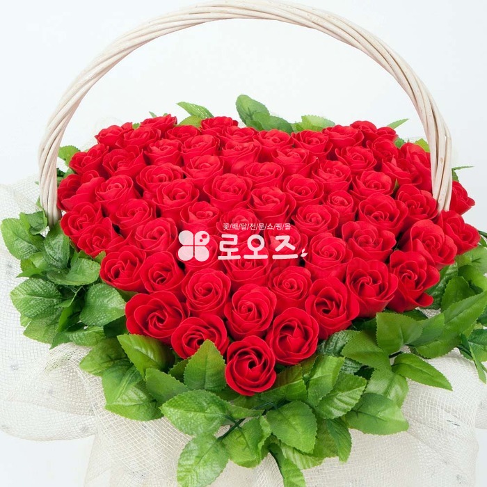 상세이미지