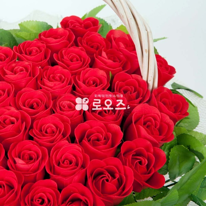 상세이미지