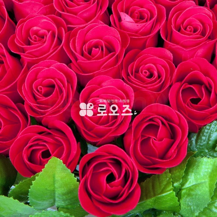 상세이미지